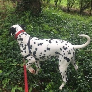 Meet your Posher, Skylar